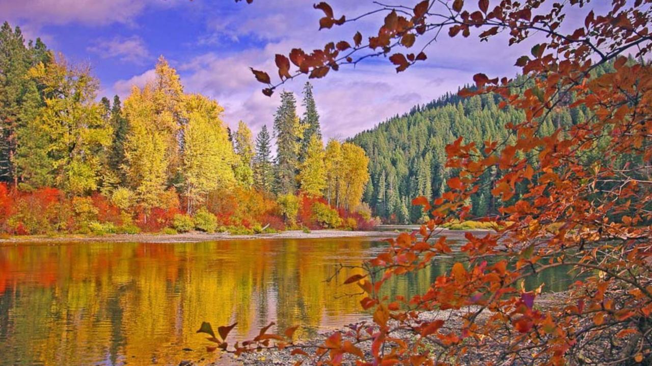Luxe Leavenworth Cottage Екстериор снимка